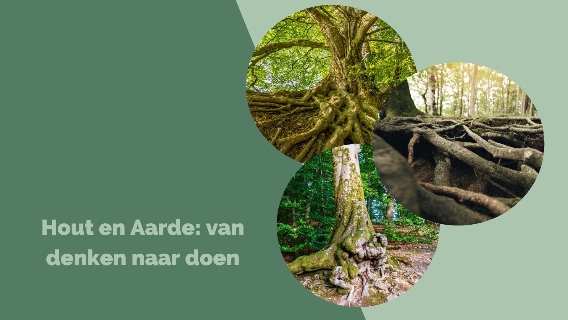 Hout en Aarde: van denken naar doen