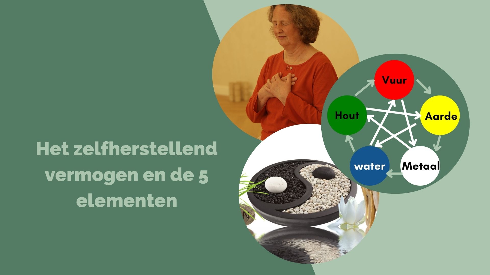 Het zelfherstellende vermogen en de 5 elementen